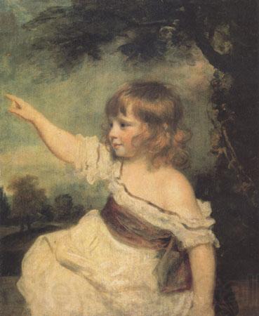 Sir Joshua Reynolds Master Hard (mk05)